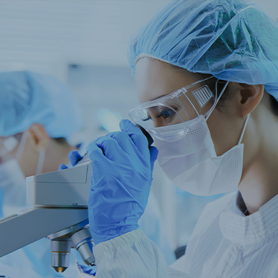 market-pharma_NEW_2